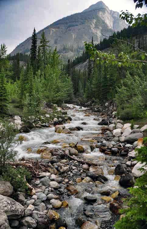 stream